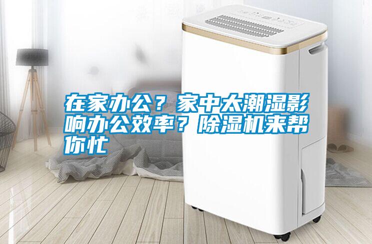 在家辦公？家中太潮濕影響辦公效率？除濕機來幫你忙