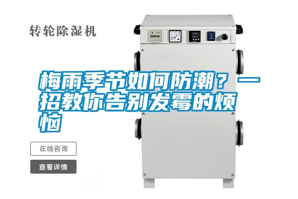 梅雨季節如何防潮？一招教你告別發霉的煩惱