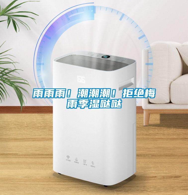 雨雨雨！潮潮潮！拒絕梅雨季濕噠噠