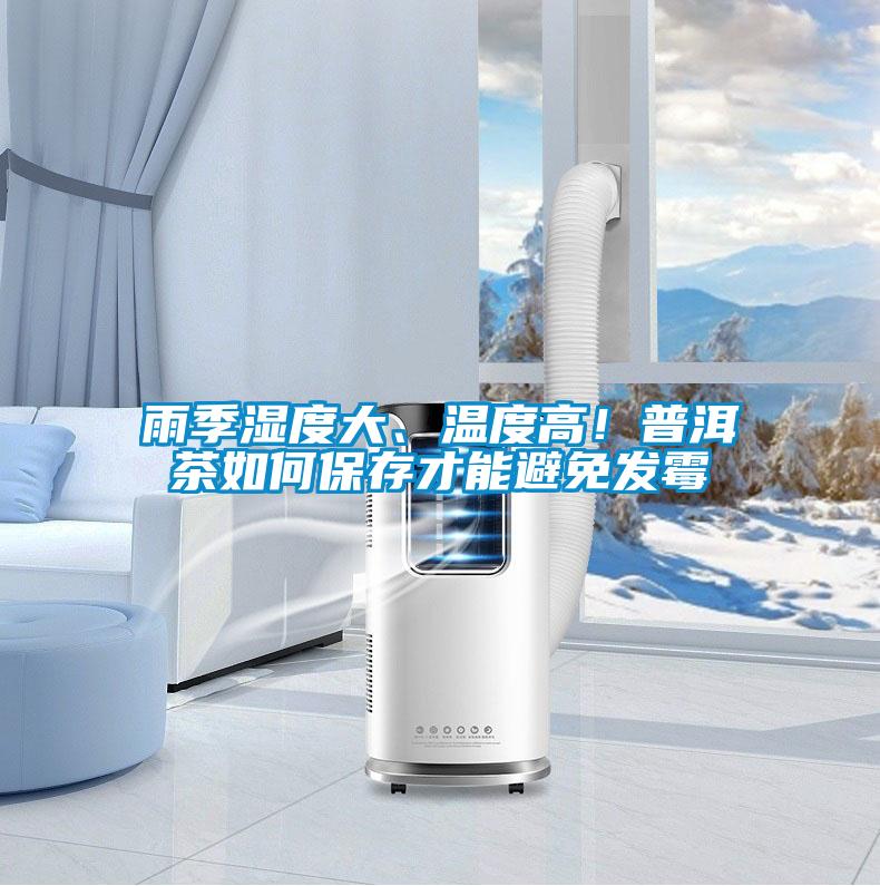 雨季濕度大、溫度高！普洱茶如何保存才能避免發(fā)霉