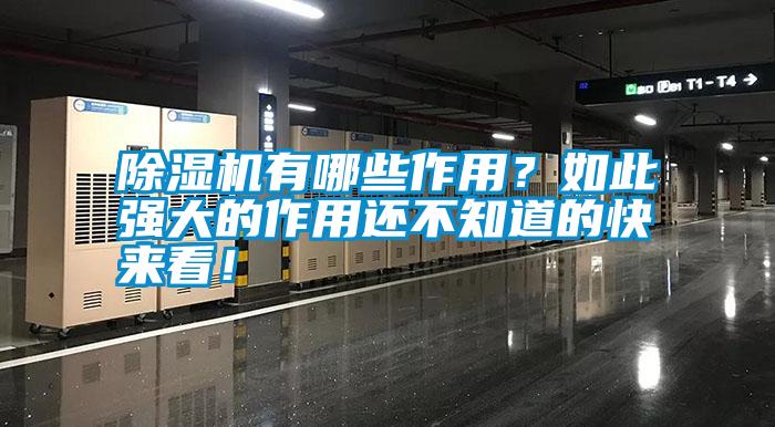 除濕機(jī)有哪些作用？如此強(qiáng)大的作用還不知道的快來看！