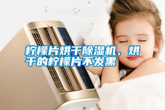 檸檬片烘干除濕機，烘干的檸檬片不發(fā)黑