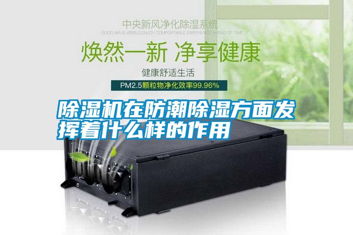 除濕機在防潮除濕方面發(fā)揮著什么樣的作用