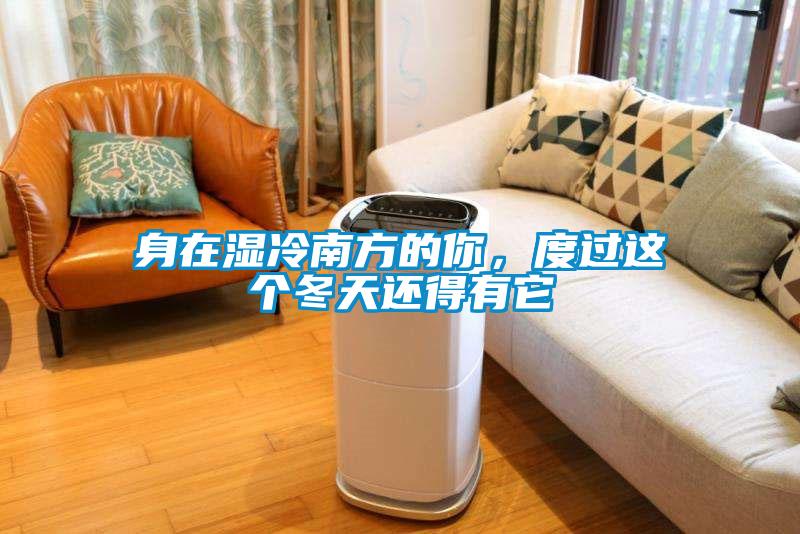 身在濕冷南方的你，度過這個冬天還得有它