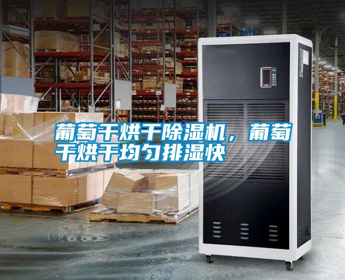 葡萄干烘干除濕機，葡萄干烘干均勻排濕快