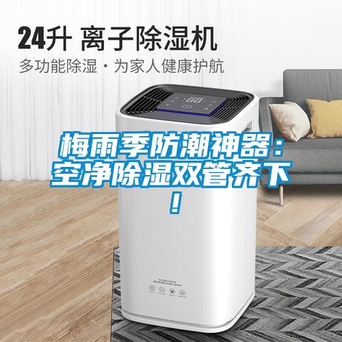 梅雨季防潮神器：空凈除濕雙管齊下！