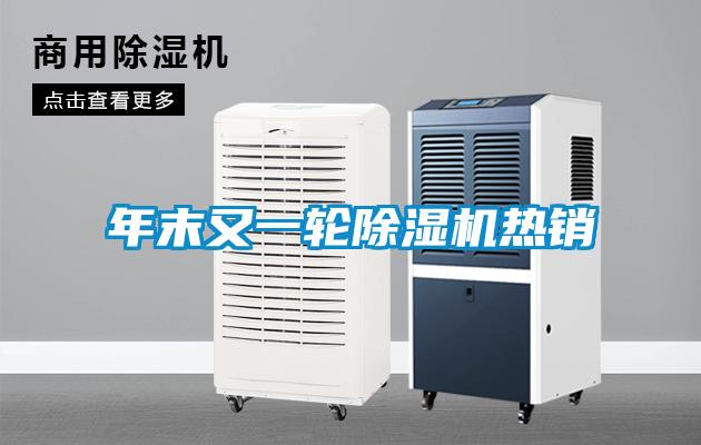 年末又一輪除濕機(jī)熱銷
