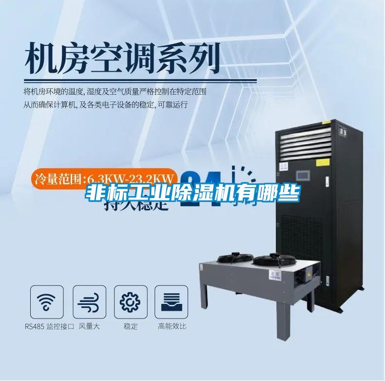 非標(biāo)工業(yè)除濕機有哪些