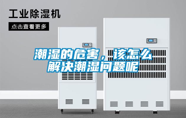 潮濕的危害，該怎么解決潮濕問題呢