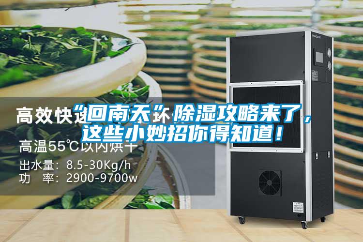 “回南天”除濕攻略來(lái)了，這些小妙招你得知道！