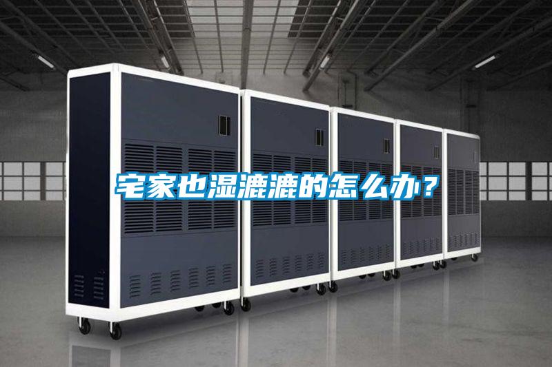 宅家也濕漉漉的怎么辦？