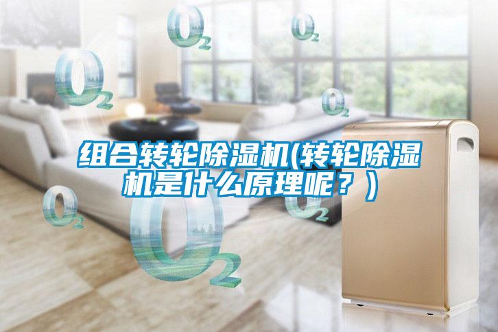 組合轉(zhuǎn)輪除濕機(jī)(轉(zhuǎn)輪除濕機(jī)是什么原理呢？)