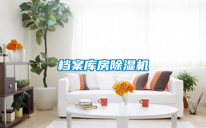 檔案庫(kù)房除濕機(jī)