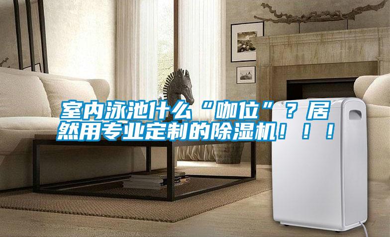 室內泳池什么“咖位”？居然用專業定制的除濕機！！！