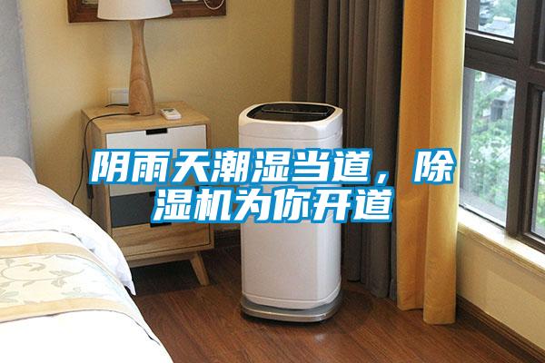 陰雨天潮濕當道，除濕機為你開道