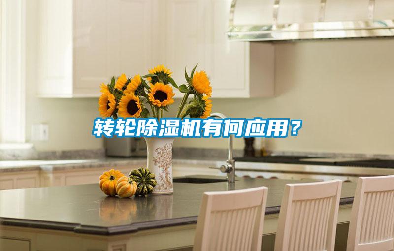 轉(zhuǎn)輪除濕機(jī)有何應(yīng)用？