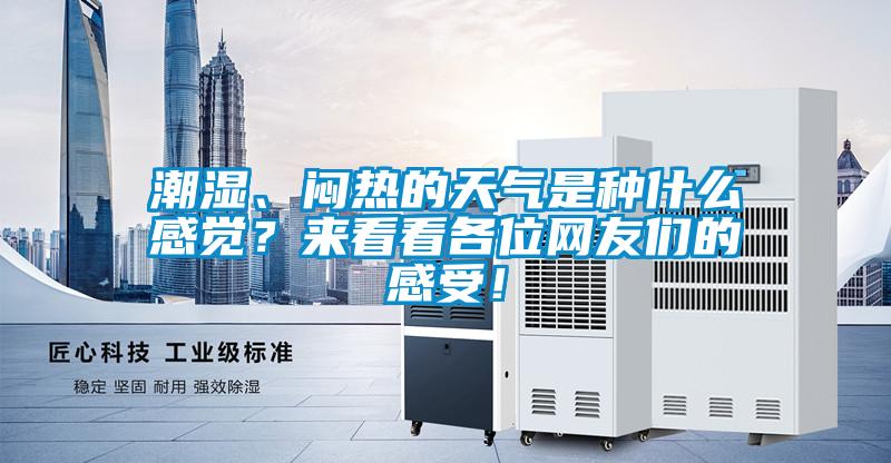 潮濕、悶熱的天氣是種什么感覺(jué)？來(lái)看看各位網(wǎng)友們的感受！