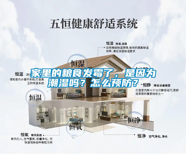 家里的糧食發(fā)霉了，是因為潮濕嗎？怎么預防？