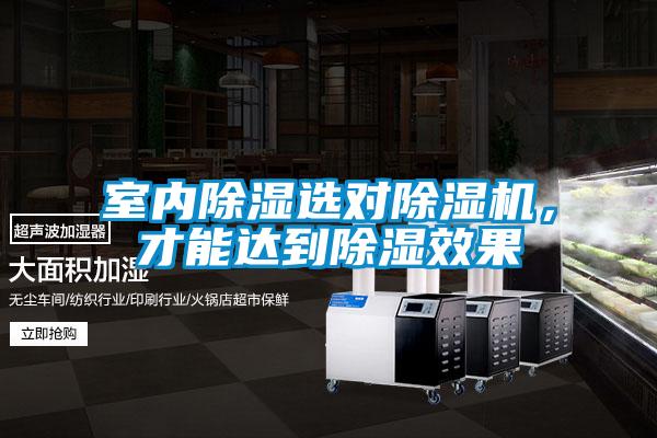 室內除濕選對除濕機，才能達到除濕效果