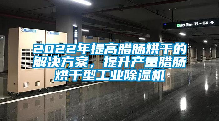 2022年提高臘腸烘干的解決方案，提升產(chǎn)量臘腸烘干型工業(yè)除濕機