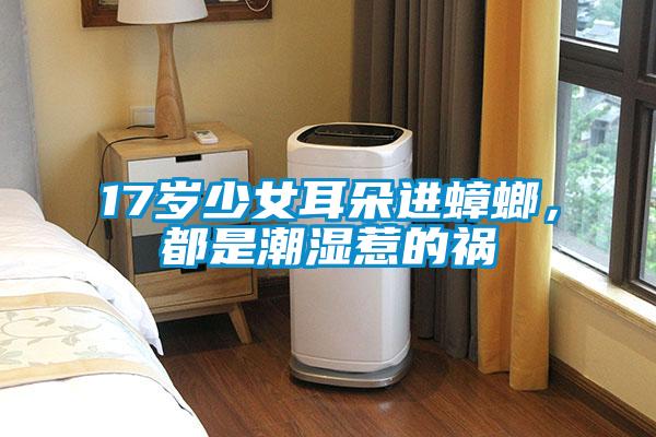 17歲少女耳朵進蟑螂，都是潮濕惹的禍
