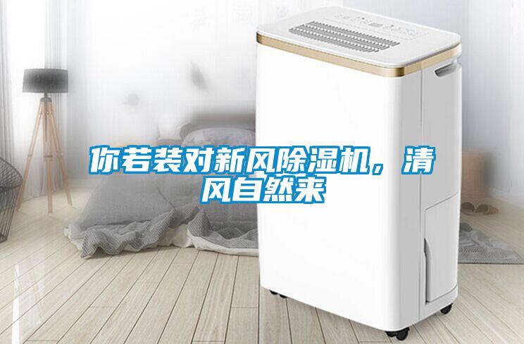 你若裝對(duì)新風(fēng)除濕機(jī)，清風(fēng)自然來(lái)