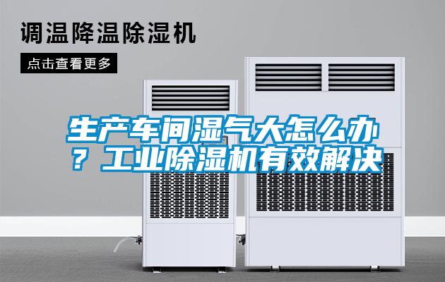 生產(chǎn)車間濕氣大怎么辦？工業(yè)除濕機(jī)有效解決