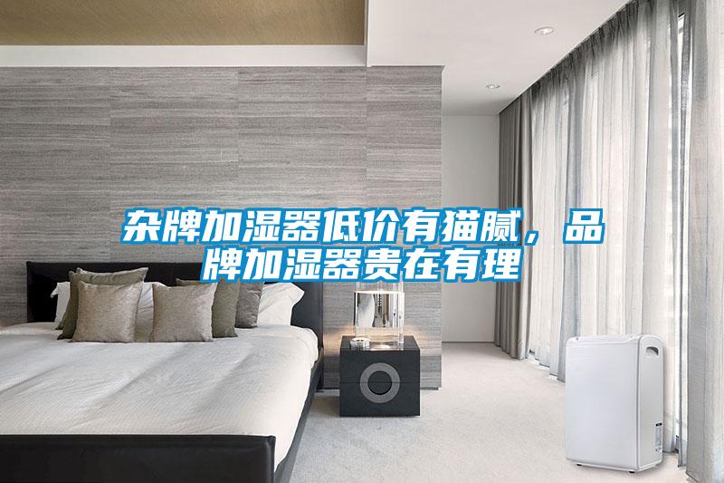 雜牌加濕器低價有貓膩，品牌加濕器貴在有理