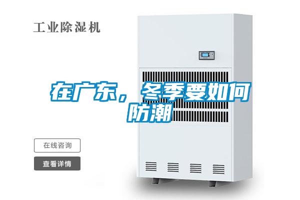 在廣東，冬季要如何防潮