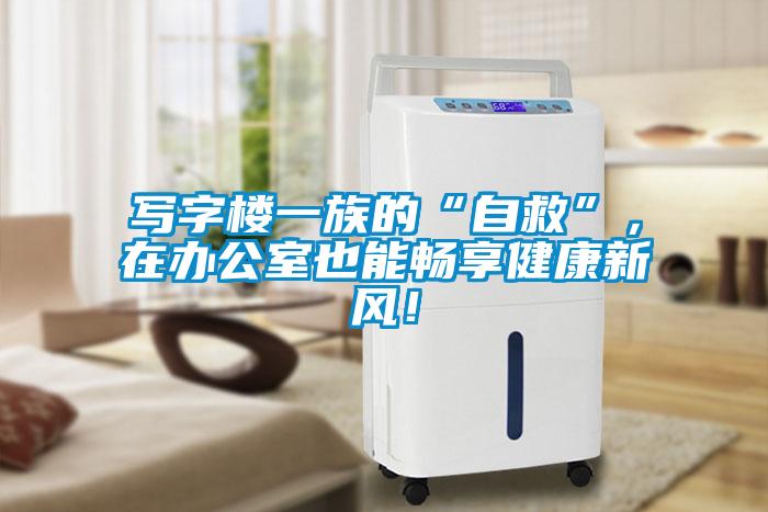 寫字樓一族的“自救”，在辦公室也能暢享健康新風！