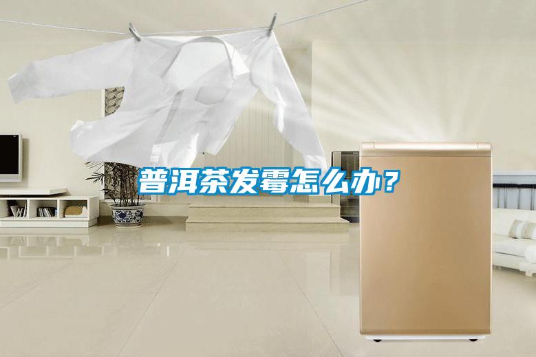 普洱茶發霉怎么辦？