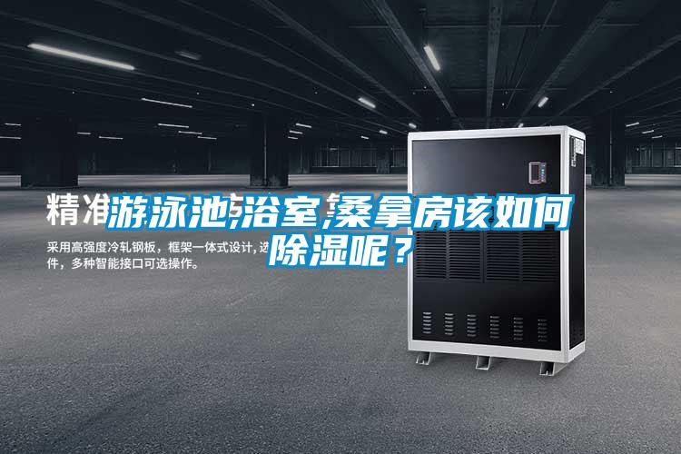 游泳池,浴室,桑拿房該如何除濕呢？