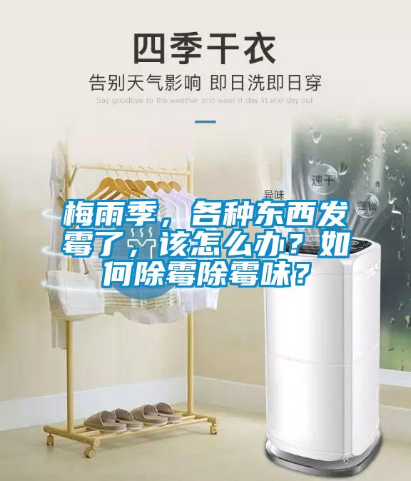 梅雨季，各種東西發霉了，該怎么辦？如何除霉除霉味？