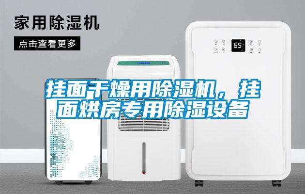 掛面干燥用除濕機，掛面烘房專用除濕設(shè)備