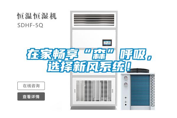 在家暢享“森”呼吸，選擇新風(fēng)系統(tǒng)！