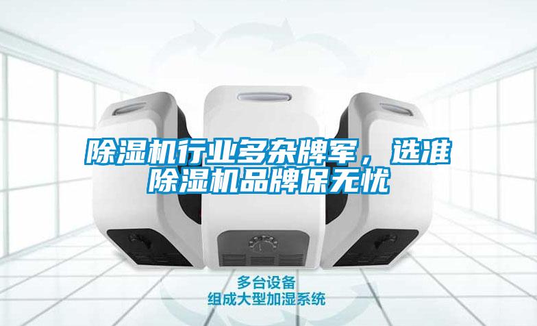 除濕機(jī)行業(yè)多雜牌軍，選準(zhǔn)除濕機(jī)品牌保無(wú)憂(yōu)