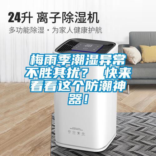 梅雨季潮濕異常不勝其擾？ 快來看看這個(gè)防潮神器！