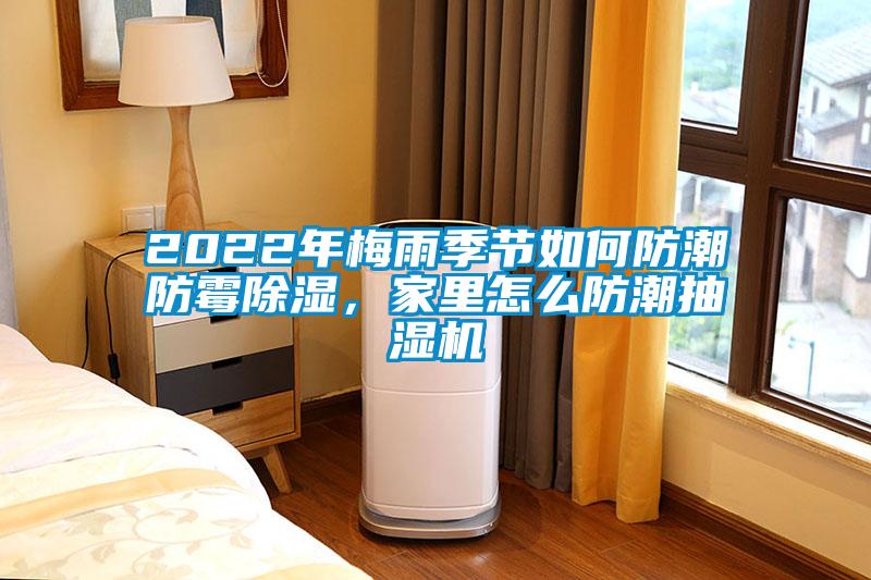 2022年梅雨季節如何防潮防霉除濕，家里怎么防潮抽濕機