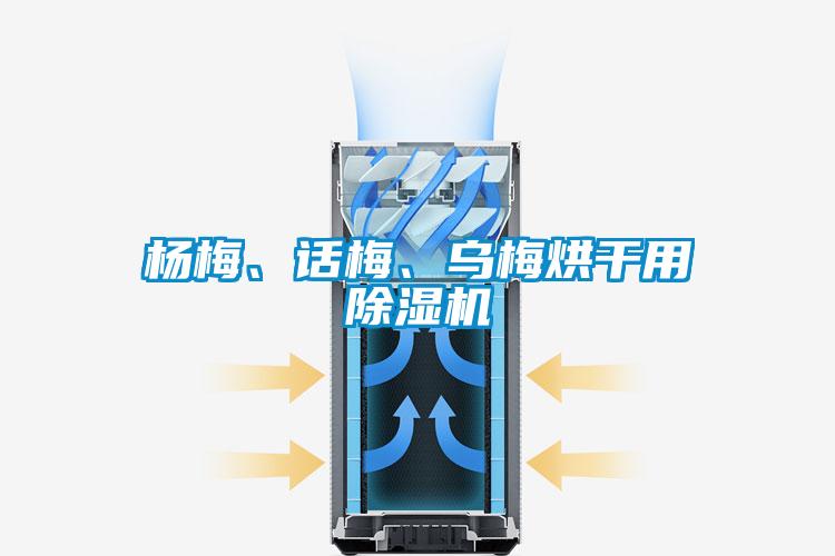 楊梅、話梅、烏梅烘干用除濕機(jī)