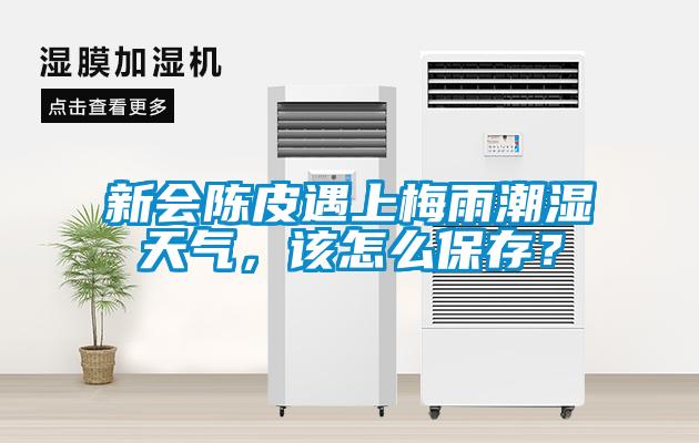新會(huì)陳皮遇上梅雨潮濕天氣，該怎么保存？