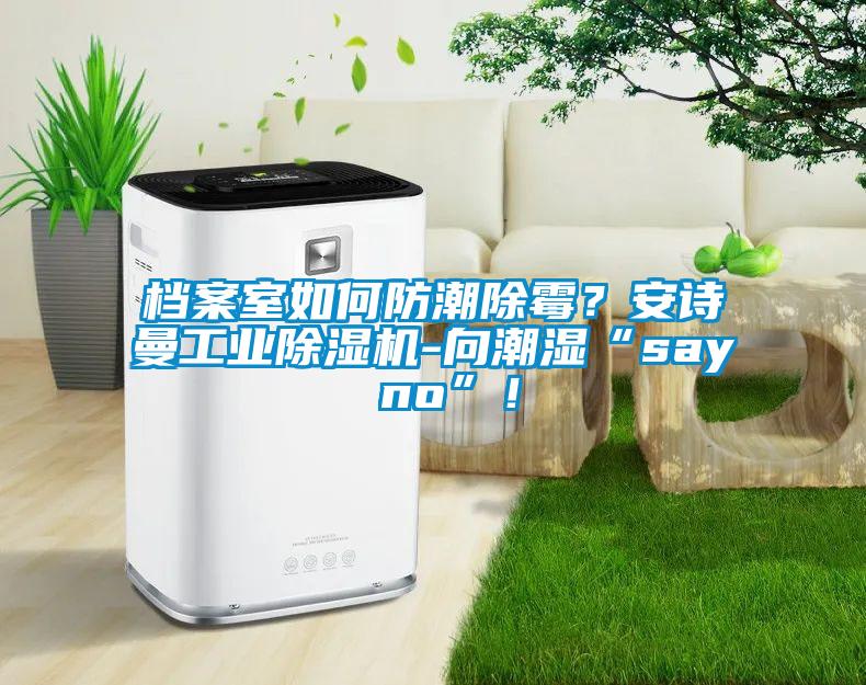 檔案室如何防潮除霉？安詩(shī)曼工業(yè)除濕機(jī)-向潮濕“say no”！