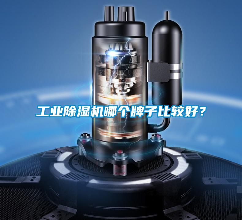 工業(yè)除濕機(jī)哪個(gè)牌子比較好？