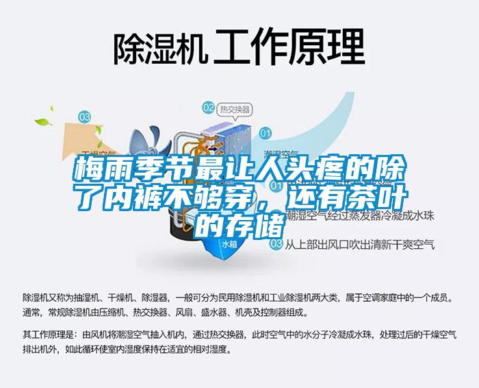 梅雨季節最讓人頭疼的除了內褲不夠穿，還有茶葉的存儲