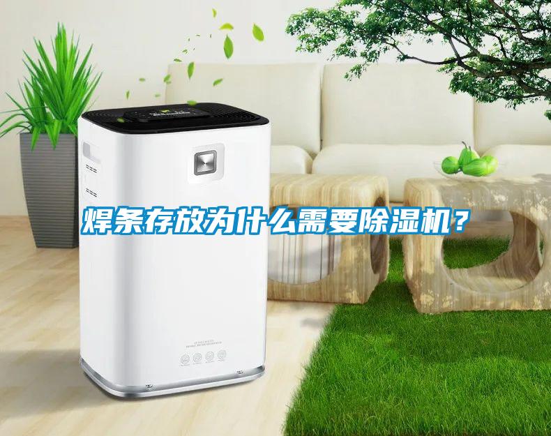 焊條存放為什么需要除濕機(jī)？