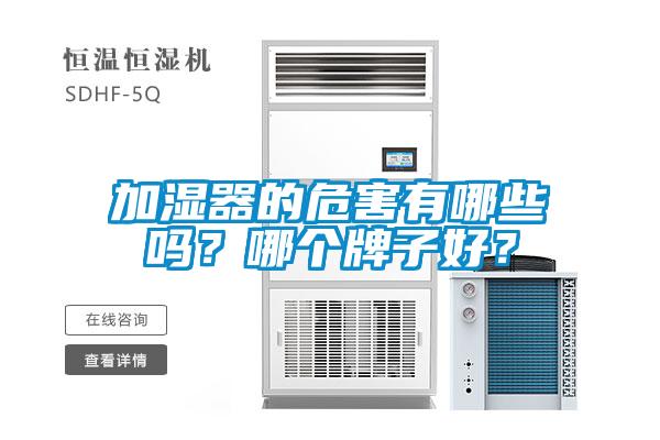 加濕器的危害有哪些嗎？哪個牌子好？