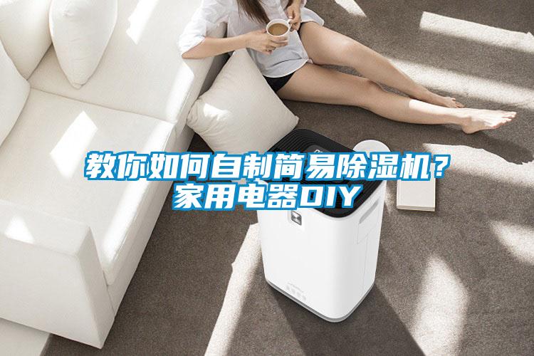 教你如何自制簡易除濕機(jī)？家用電器DIY