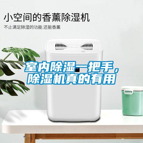 室內(nèi)除濕一把手，除濕機(jī)真的有用