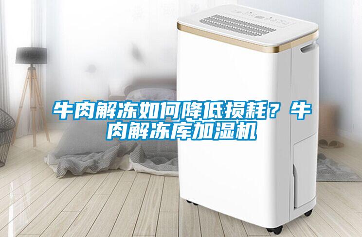 牛肉解凍如何降低損耗？牛肉解凍庫(kù)加濕機(jī)