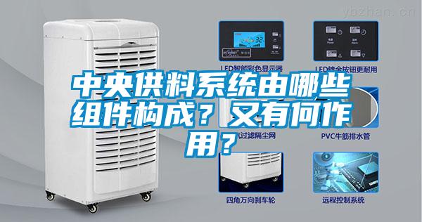 中央供料系統由哪些組件構成？又有何作用？