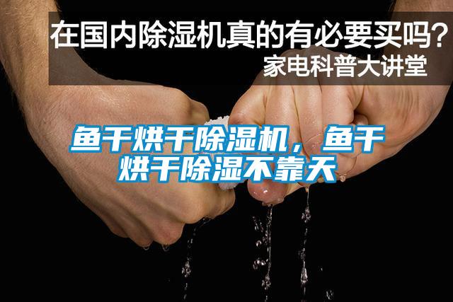 魚干烘干除濕機(jī)，魚干烘干除濕不靠天